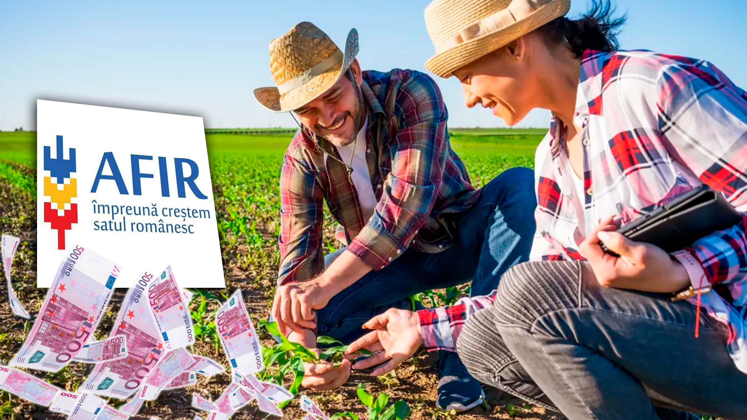 Fonduri europene pentru agricultură: AFIR pune la dispoziție 170 de milioane de euro pentru consolidarea exploatațiilor