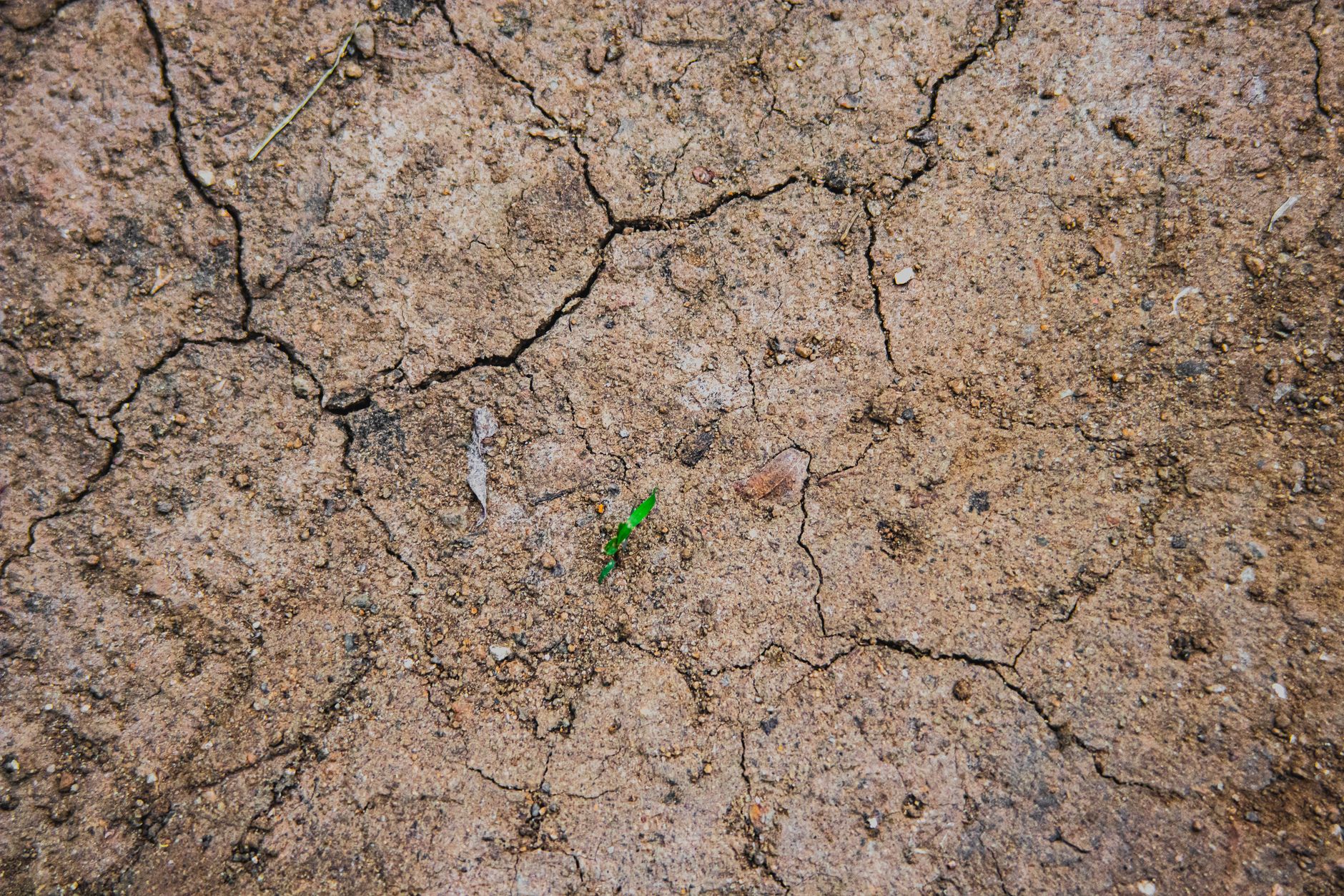 Avertismentul ONU: Scumpirea energiei și fenomenul El Niño pot împinge milioane de oameni în sărăcie