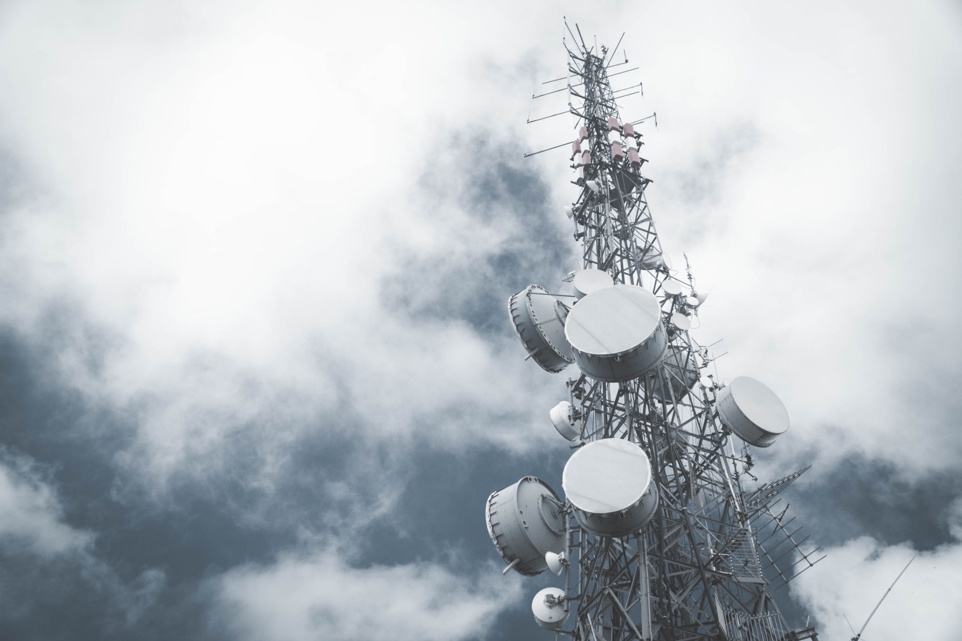 Germania solicită SUA ridicarea restricțiilor Starlink aplicate serviciilor de comunicații din Ucraina