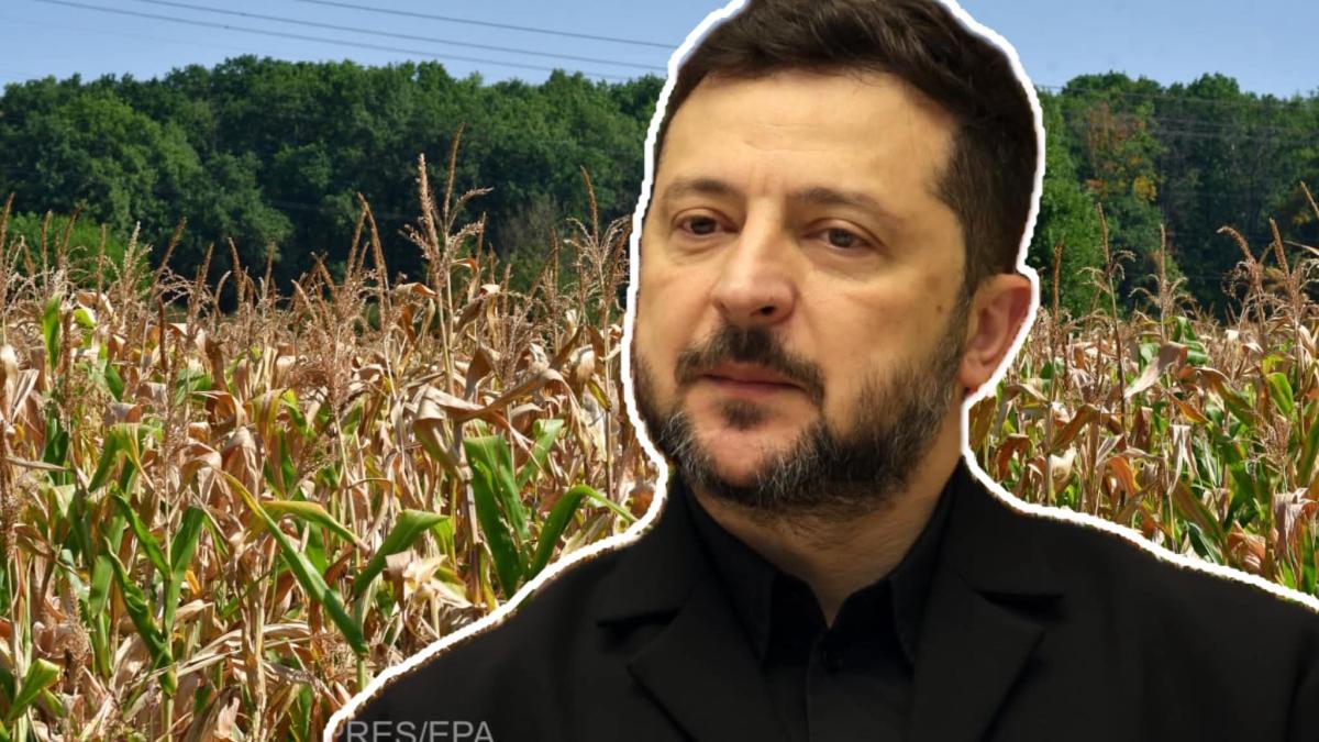Volodimir Zelenski solicită României și altor trei țări vecine permisiunea pentru tranzitul cerealelor