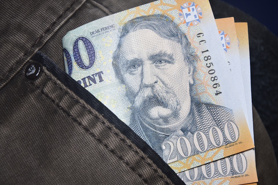 Ungaria ar putea adera la zona euro în 2032, conform prognozelor Eurasia Group