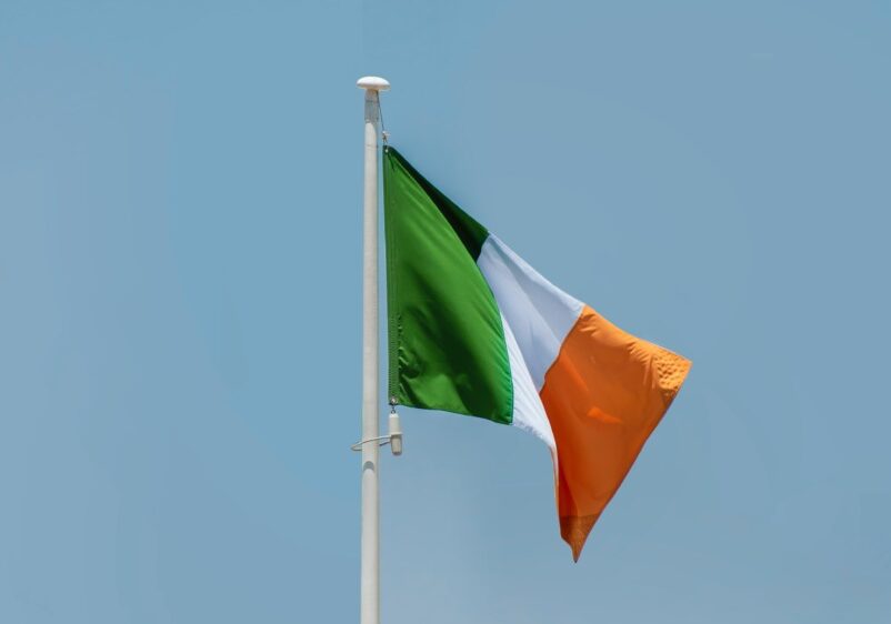 Irlanda a expulzat 24 de cetățeni români condamnați pentru infracțiuni grave