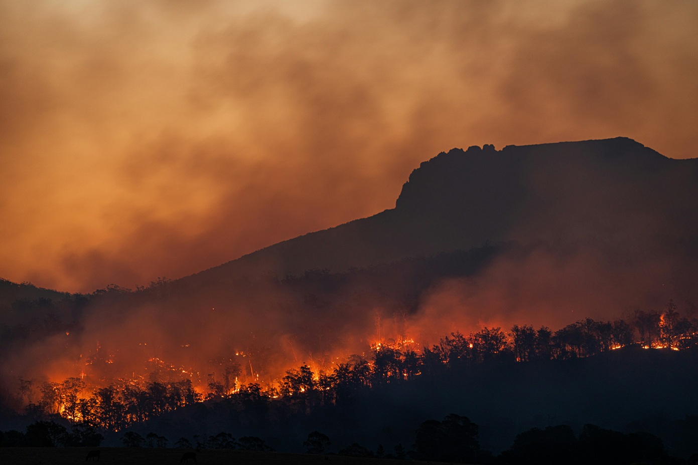 Uniunea Europeană va crea un sistem de asigurări pentru protecția împotriva fenomenelor meteo extreme