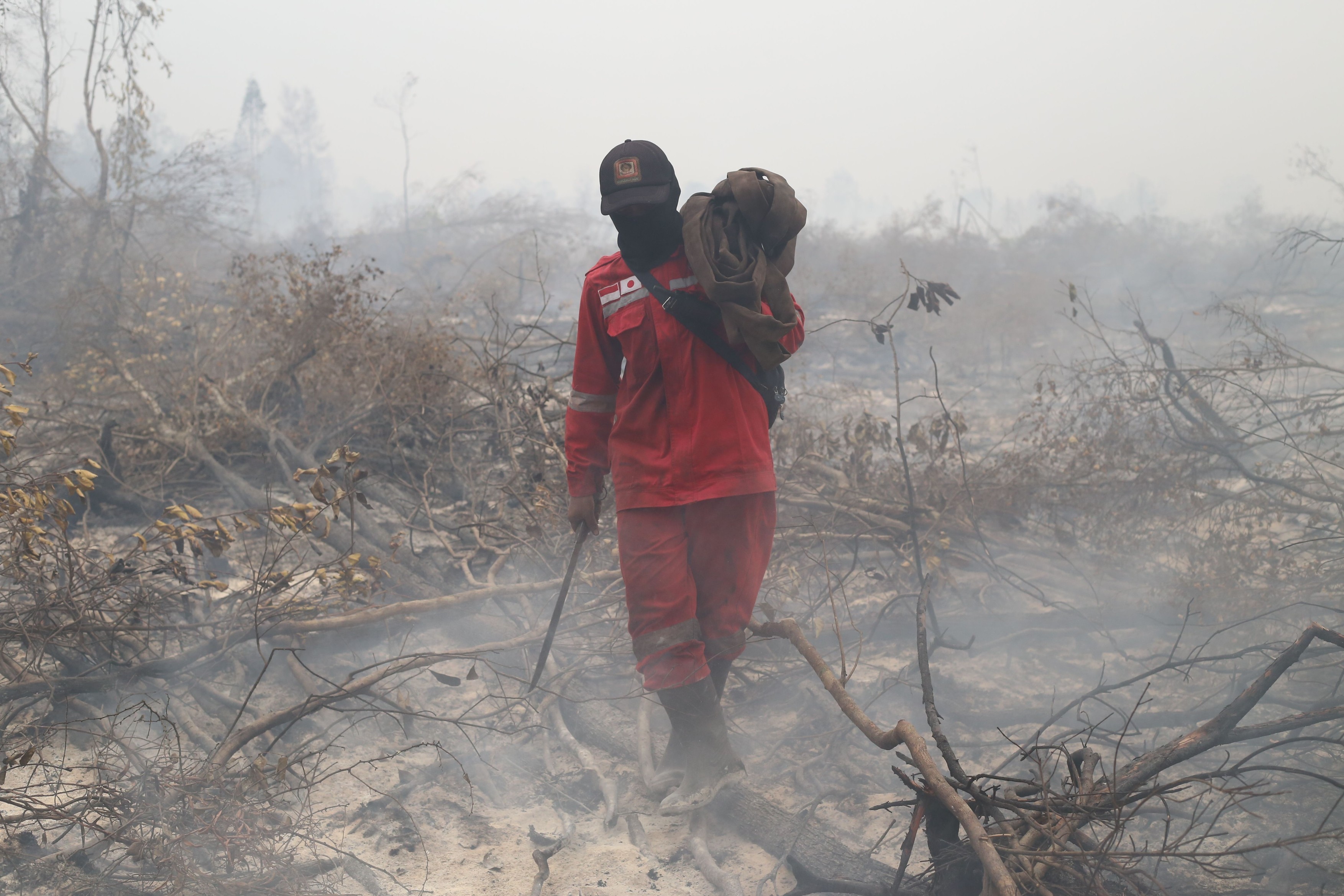 Indonezia se confruntă cu incendii masive de pădure: au ars aproape 2 milioane de hectare