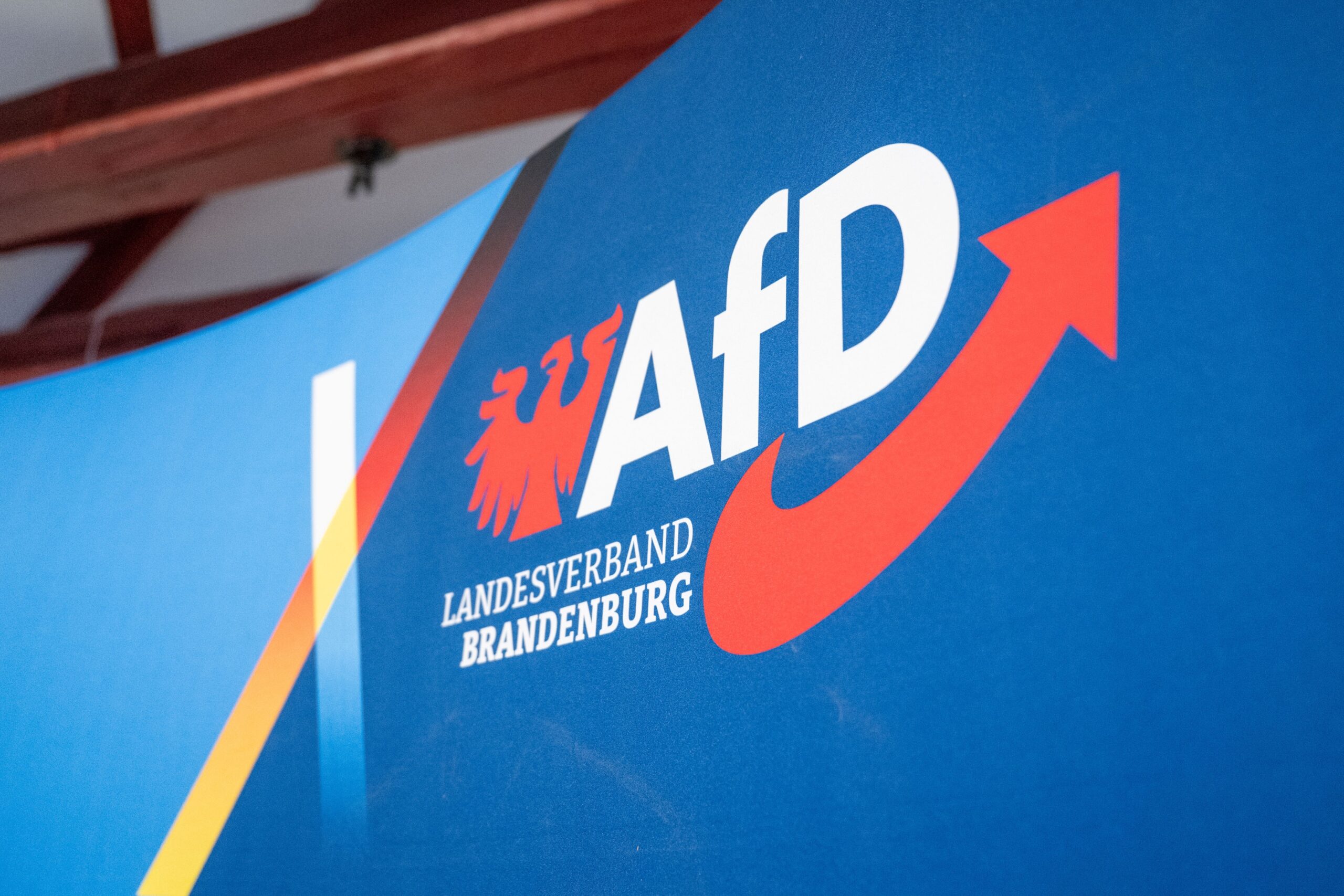 Atac cibernetic asupra partidului AfD din Germania: au fost publicate sute de mii de e-mailuri