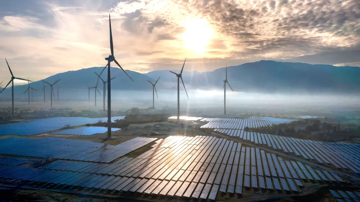Comerțul cu energie verde în UE: Importurile de turbine eoliene cresc masiv, în timp ce panourile solare scad