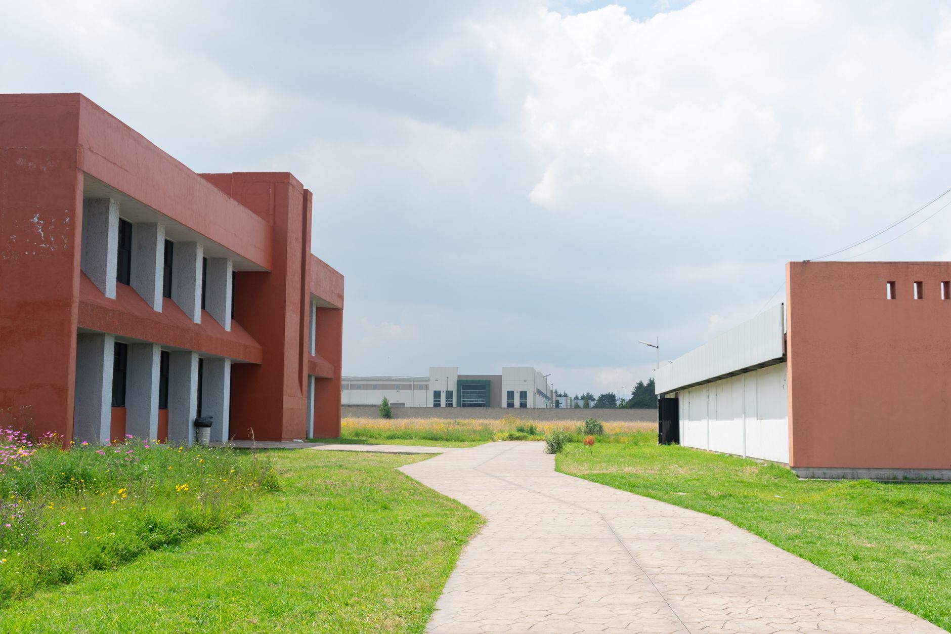Trump propune plăți directe pentru comunitățile care găzduiesc centre de date pentru AI