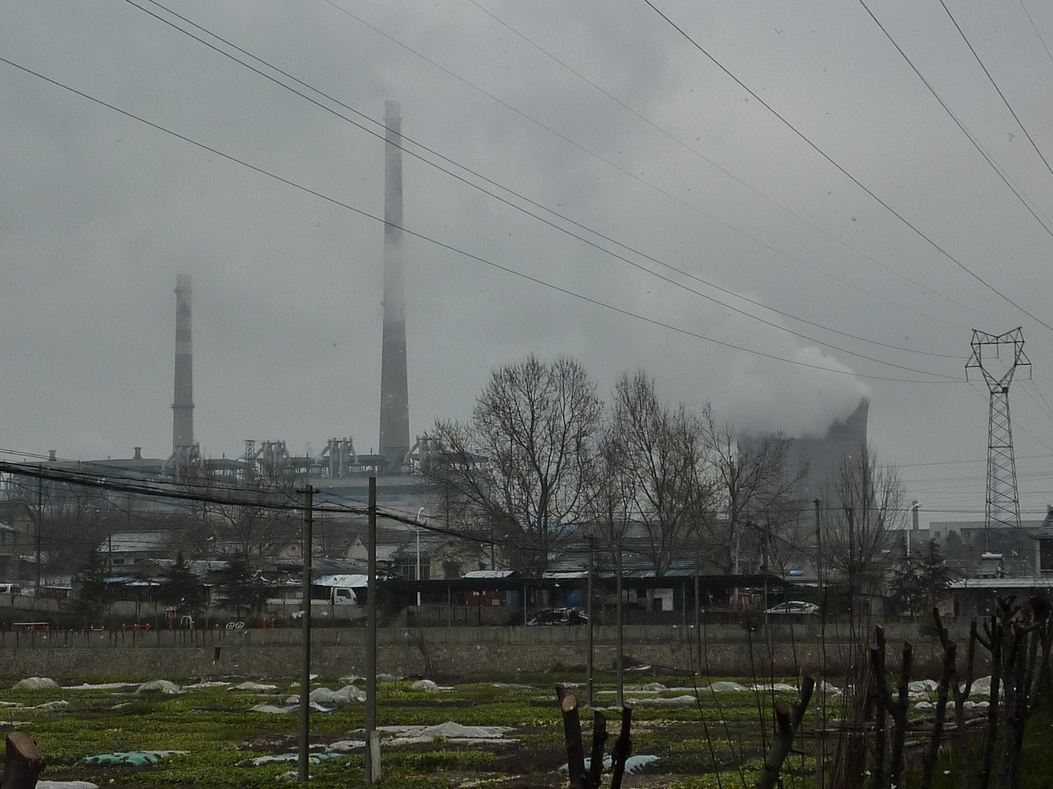 FMI estimează recesiune pentru aproape toate economiile din Golf în acest an