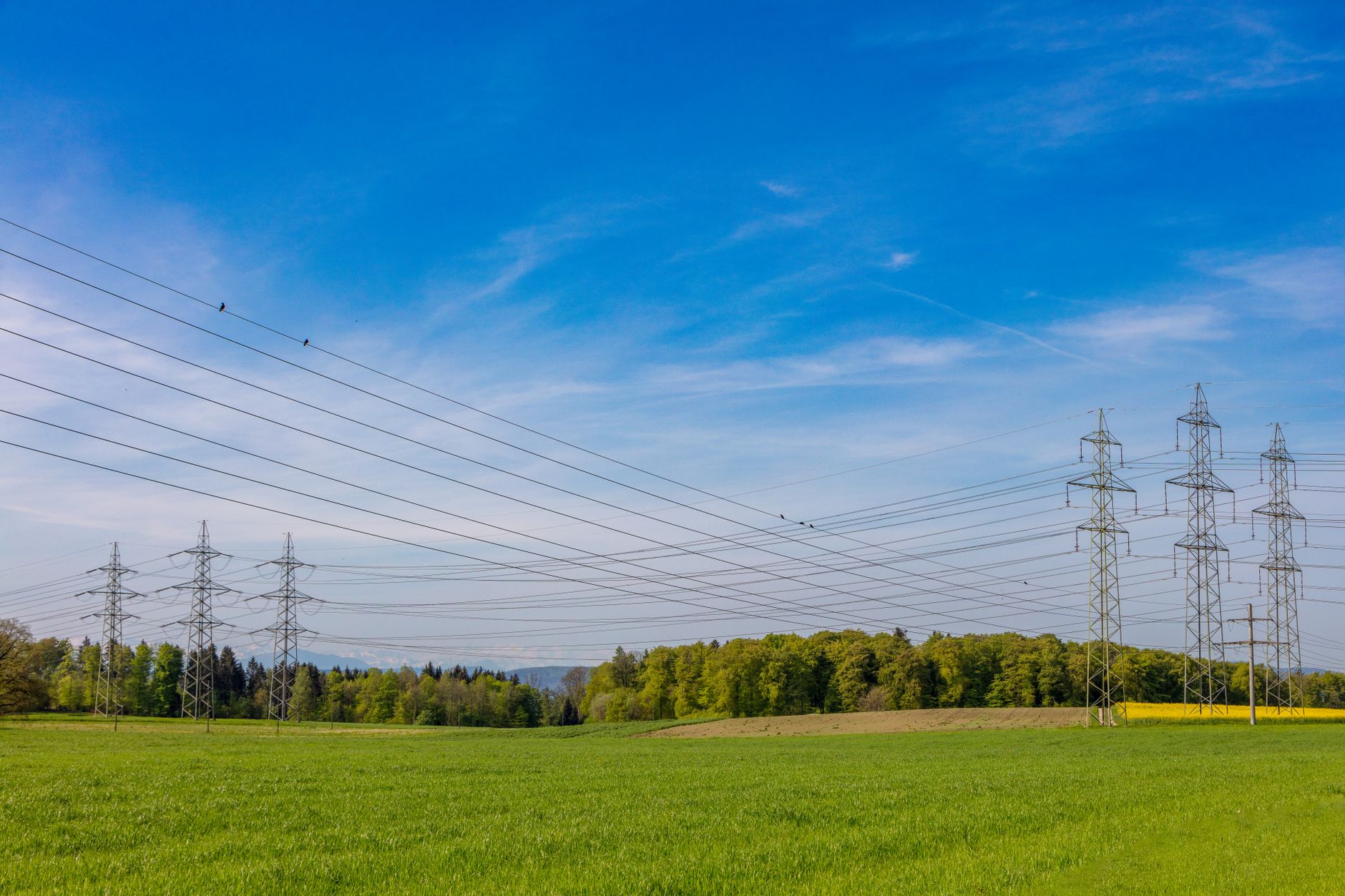 ENTSO-E lansează o strategie pentru securizarea rețelelor electrice și accelerarea racordărilor în Europa