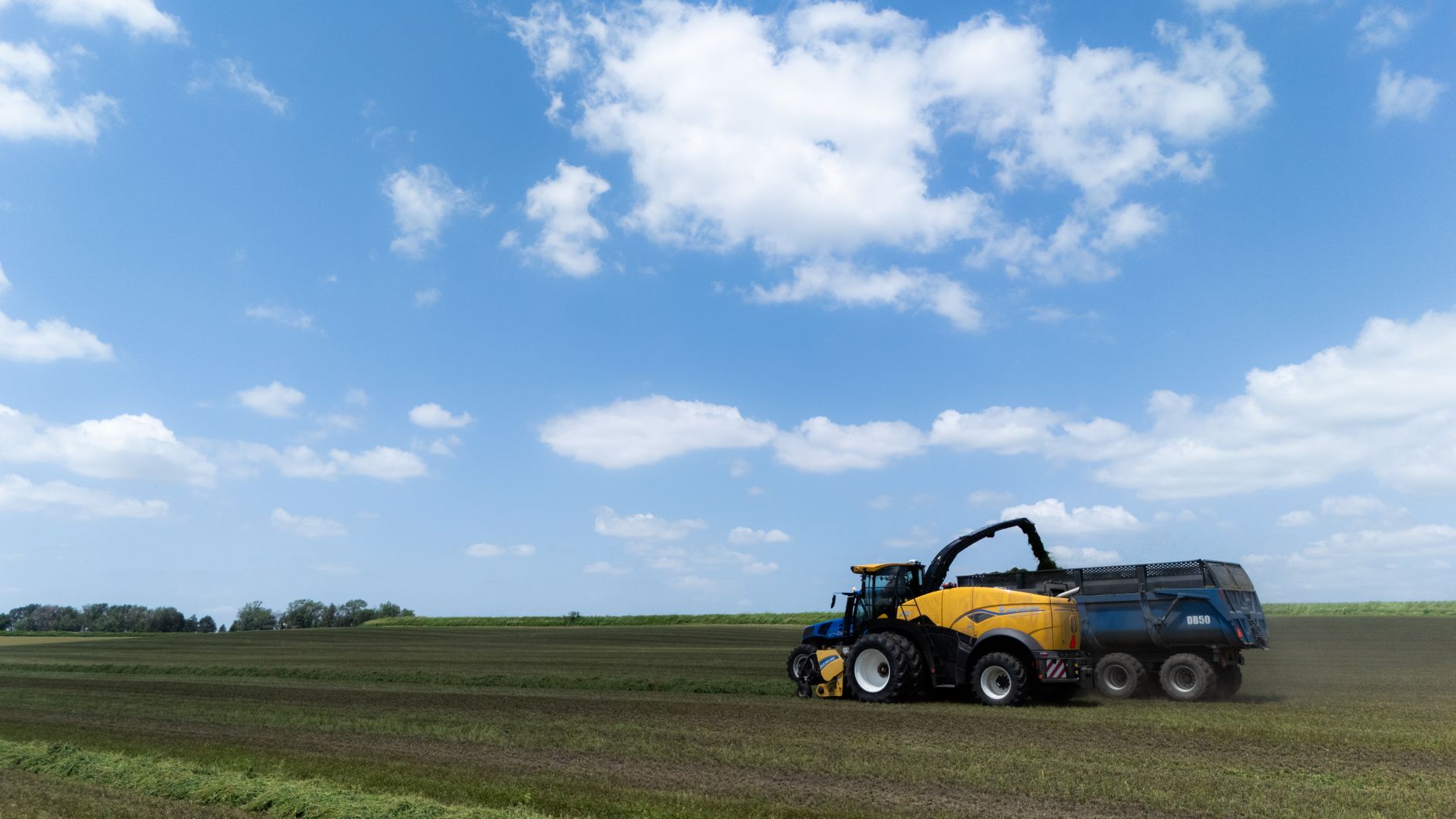 BEI oferă 150 de milioane de euro pentru modernizarea agriculturii în Republica Moldova