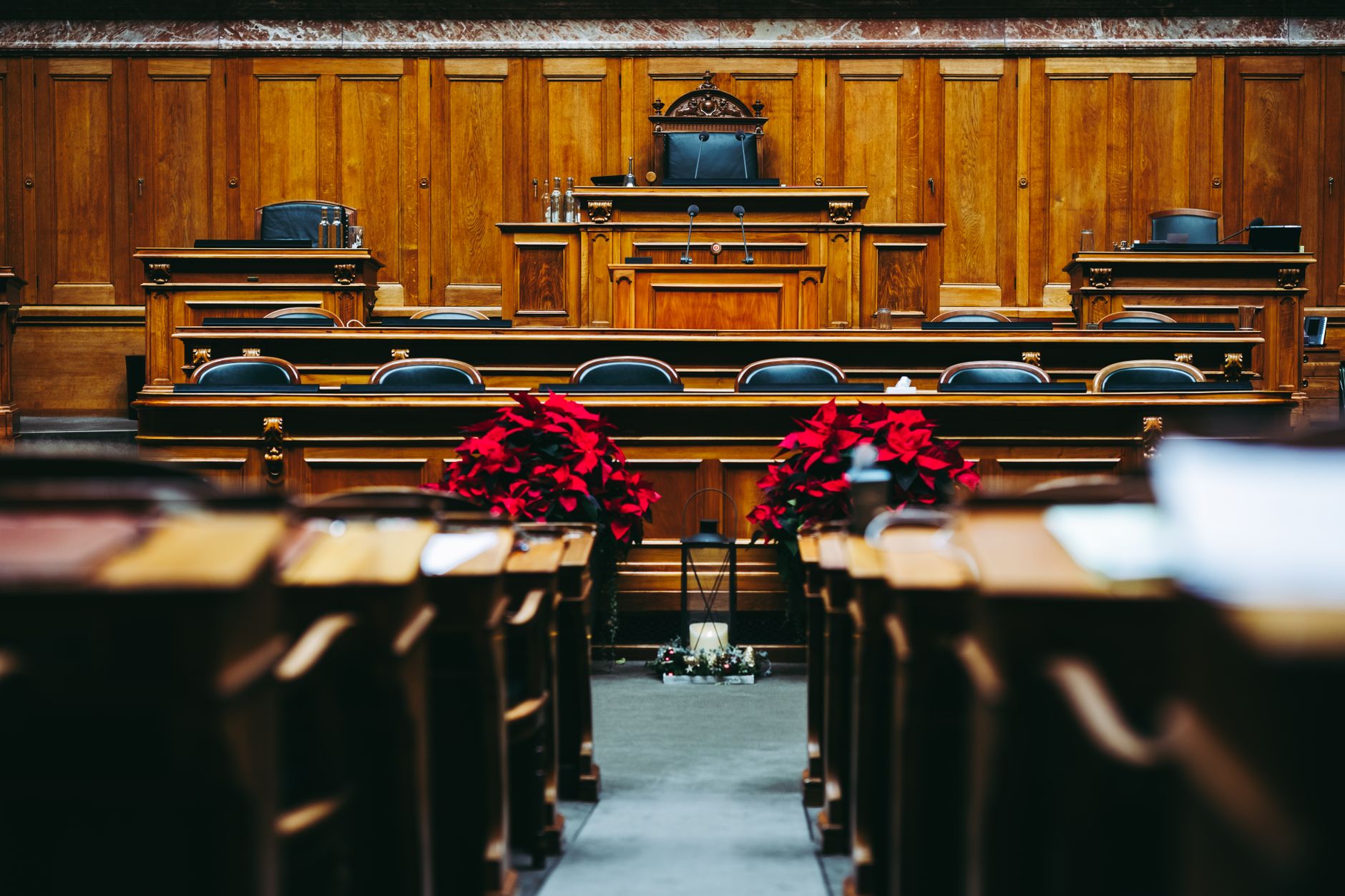 Jordan Bardella a fost reales lider al partidului Adunarea Națională, cu o majoritate de 98,98% din voturi