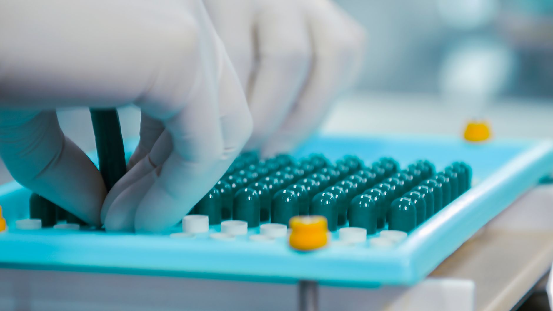 EFSA aprobă extinderea utilizării conservantului E 246 în 11 noi categorii de alimente