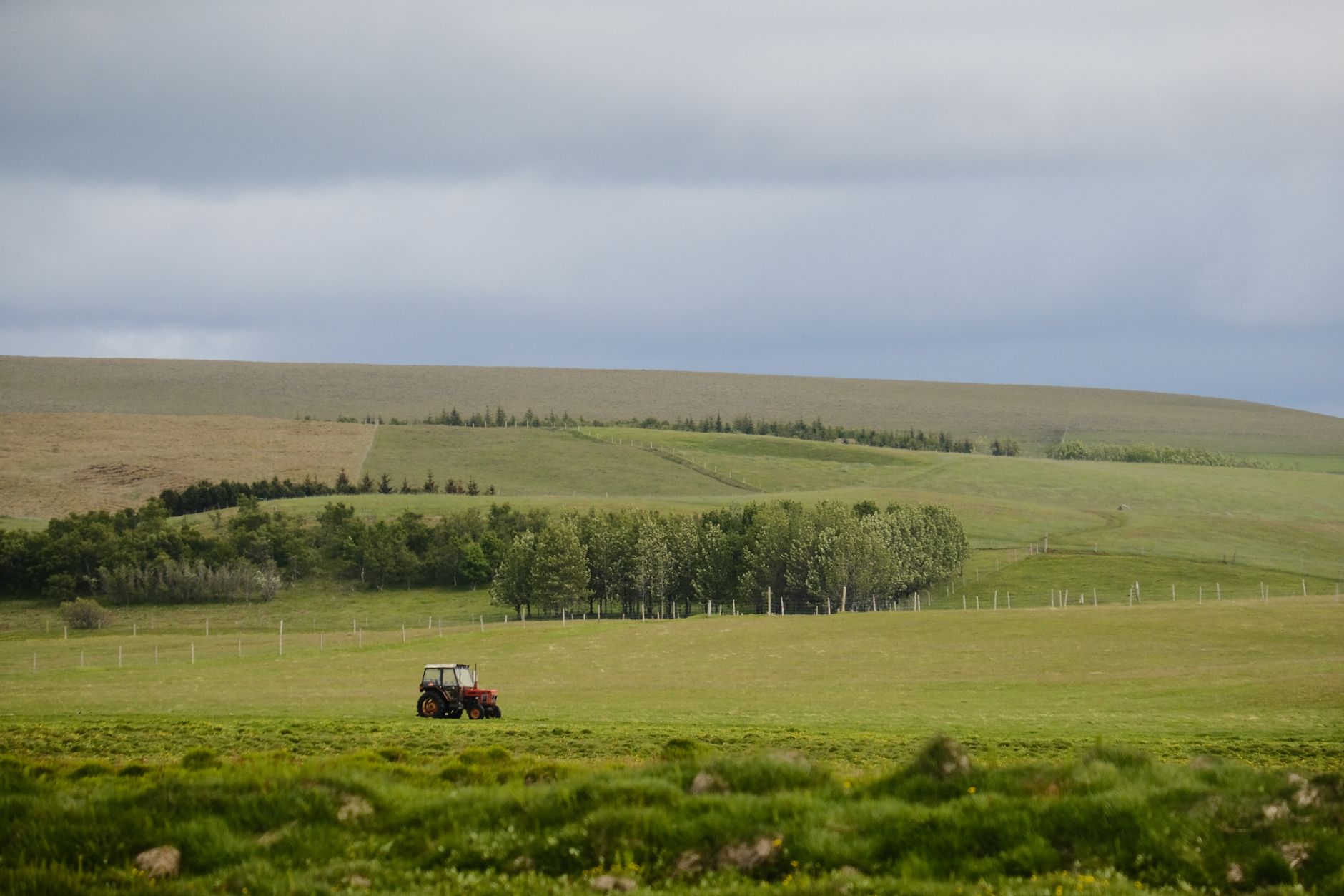 Miniștrii Agriculturii din UE negociază reforma Politicii Agricole Comune pentru perioada 2028-2034