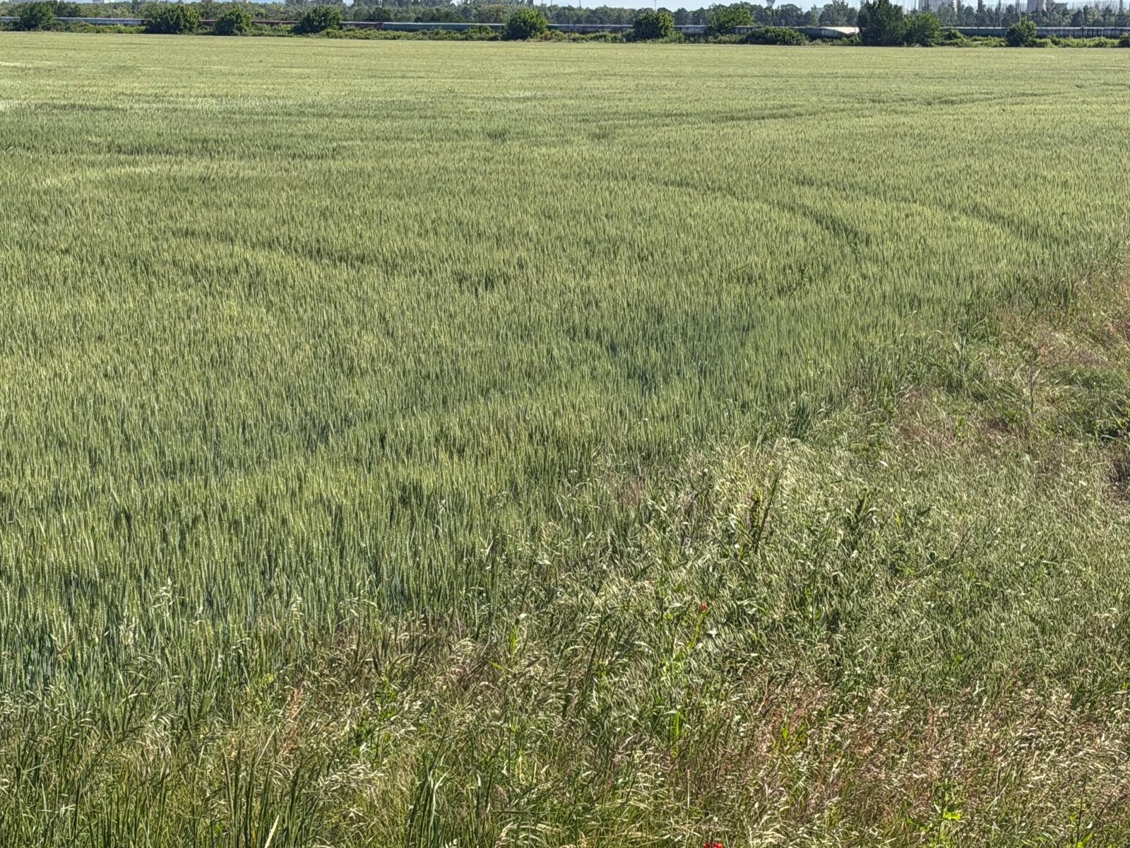Acord la nivelul UE pentru reforma Politicii Agricole Comune; România obține menținerea ajutoarelor ANT