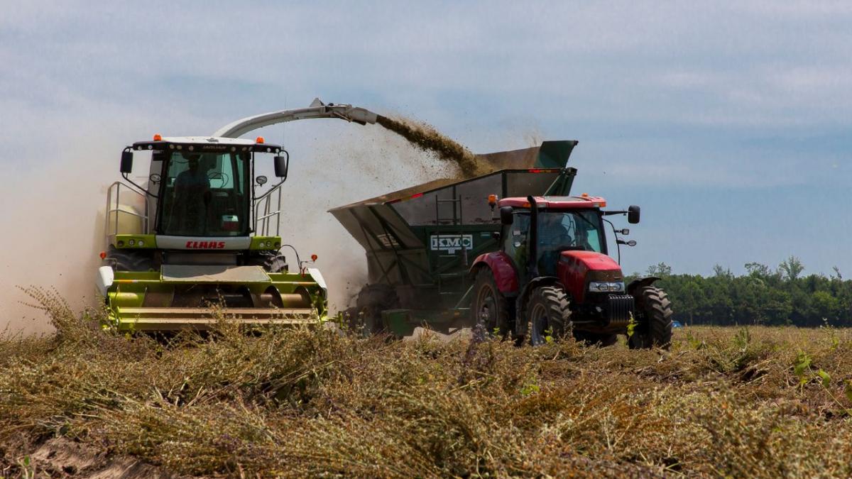 Subvențiile pentru fermieri pot fi menținute după 2027: România a obținut un avans în negocierile UE