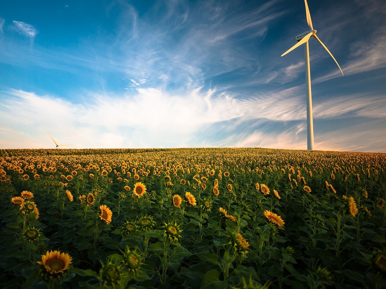 Capacitățile de producție a energiei regenerabile vor încetini anul acesta, conform IRENA