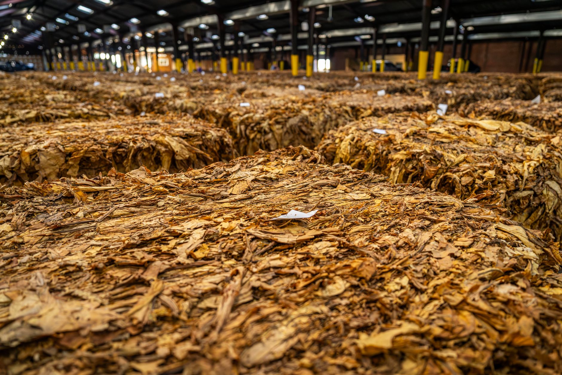 Excedentul comercial agroalimentar al Uniunii Europene a crescut la 34,7 miliarde de euro în 2026
