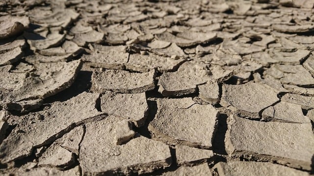 Europa se încălzește de două ori mai rapid decât restul lumii. Bruxelles-ul propune noi reguli de reziliență