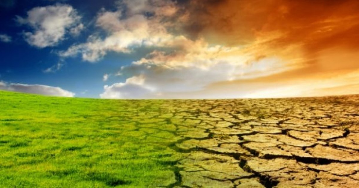 Cercetătorii cer declararea schimbărilor climatice ca urgență sanitară mondială