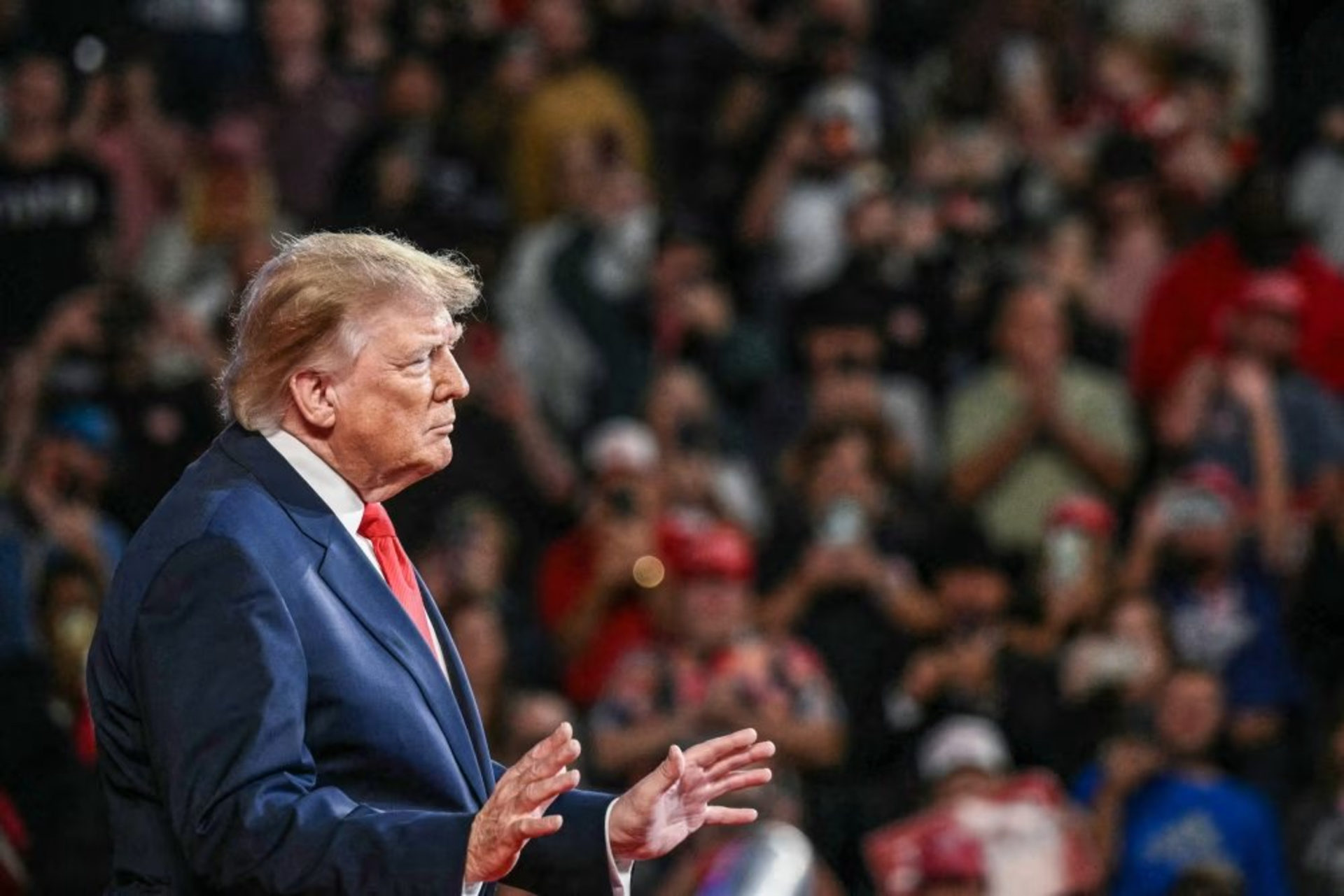 Donald Trump atacă energiile regenerabile: susține că panourile solare ard animalele