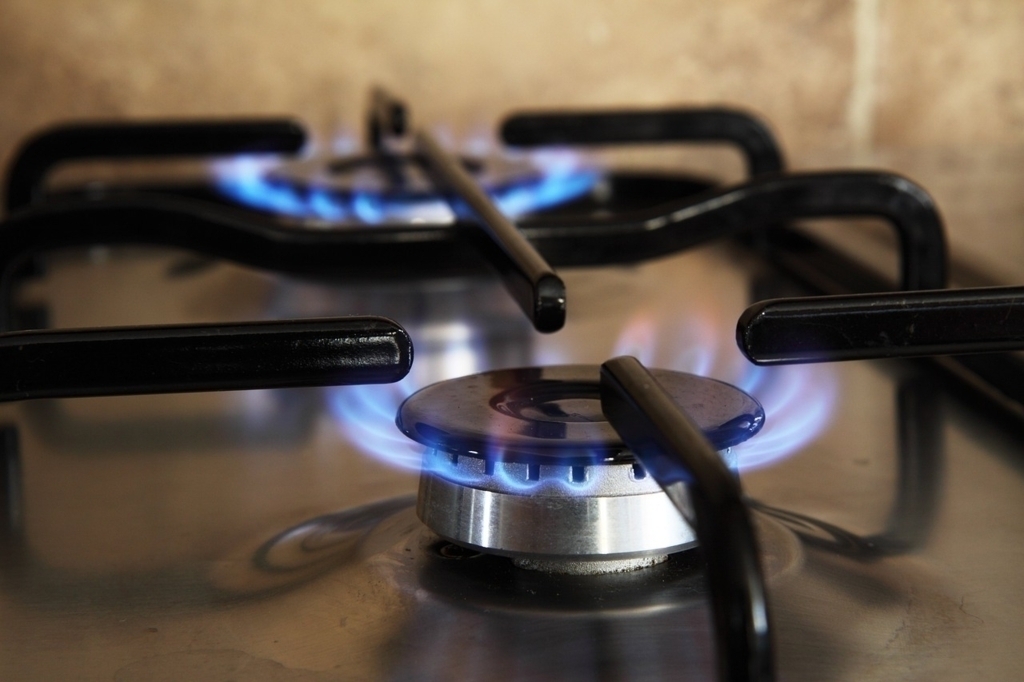 Ungaria poate renunța la gazul rusesc într-un an, anunță ministrul Energiei