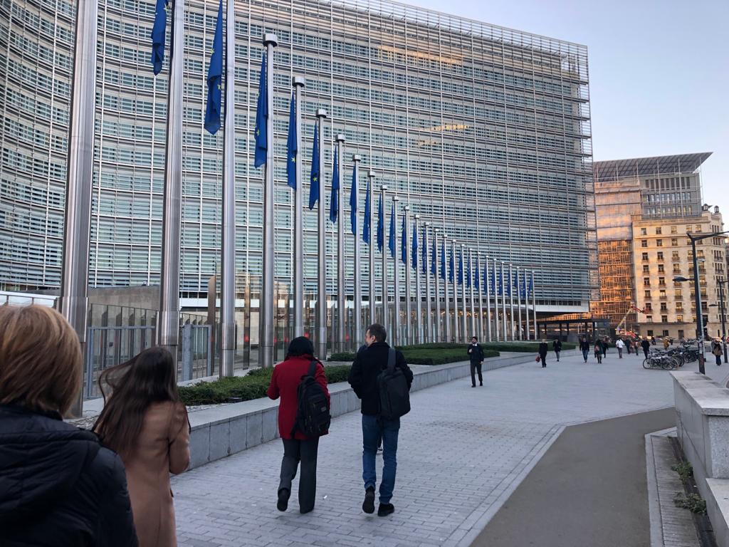 Unsprezece state europene cer suspendarea adoptării de noi legi la nivelul UE pentru un an