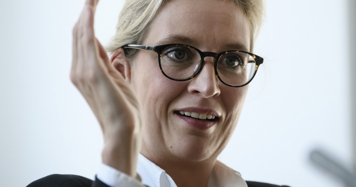 Ascensiunea partidului AfD în Germania și succesul Rusiei Unită: o corelație între politicile de la Berlin și Moscova