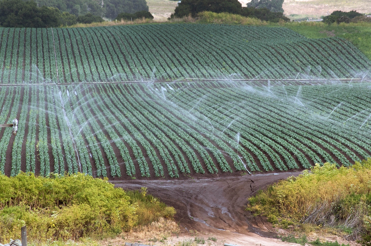 Europenii susțin agricultura locală și cer alimente de înaltă calitate, arată sondajul Eurobarometru