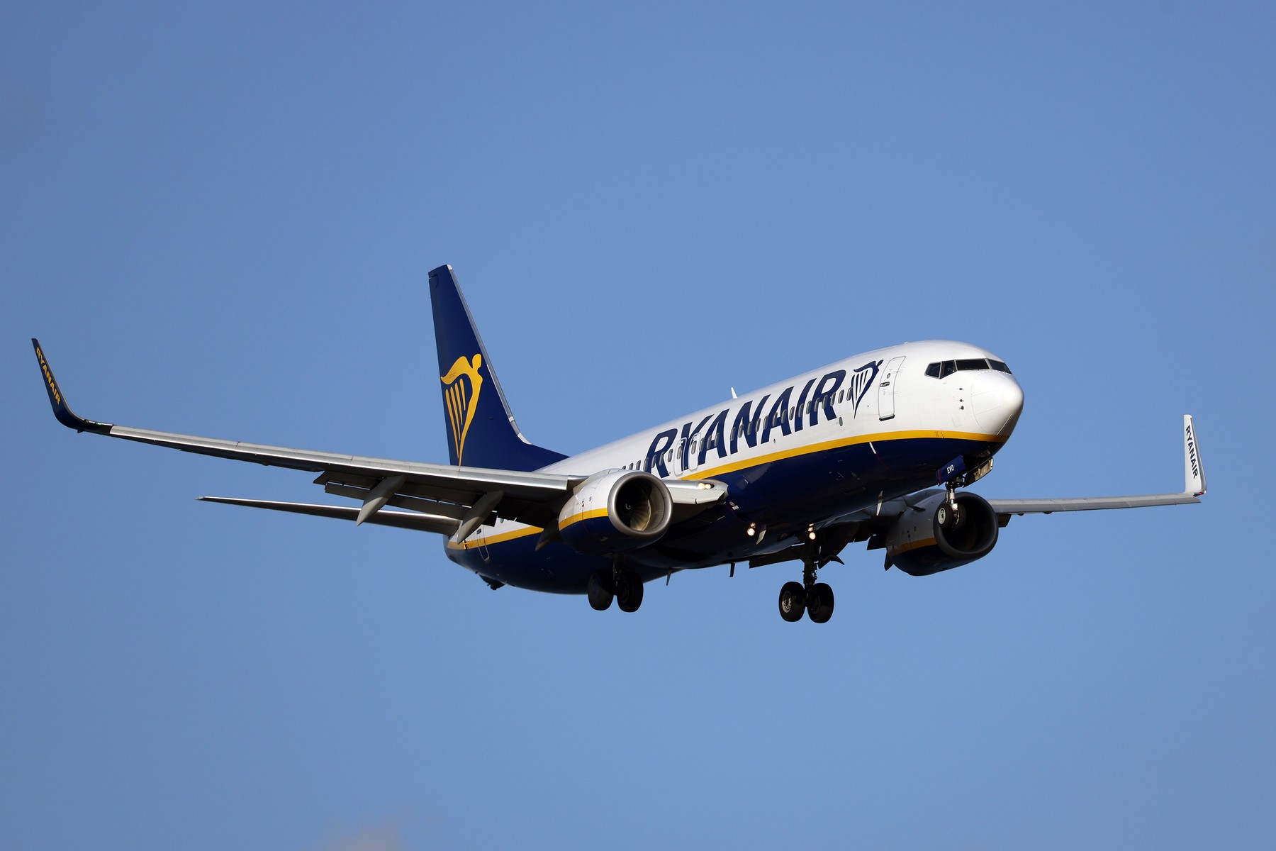 Schimbări majore în transportul aerian: Șeful Ryanair anticipează creșteri de preț de până la 20%