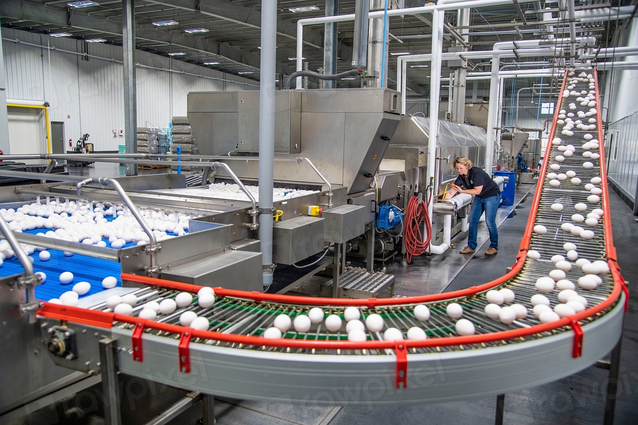 Evoluții economice în august 2026: Producția industrială din SUA crește, în timp ce prețurile din Polonia accelerază