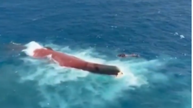 Indonezia: 129 de persoane sunt dispărute după ce nava Virgo Transport 8 s-a răsturnat în Marea Java