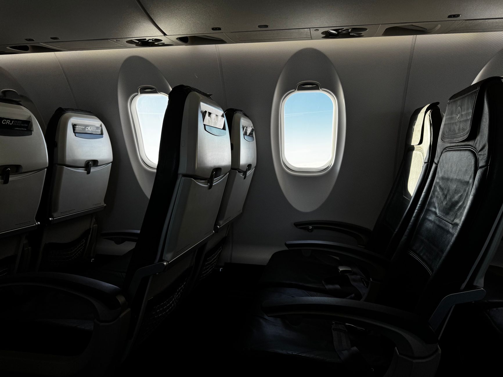 Călătoria cu animale de companie în avion: diferențele de reguli între companiile aeriene europene