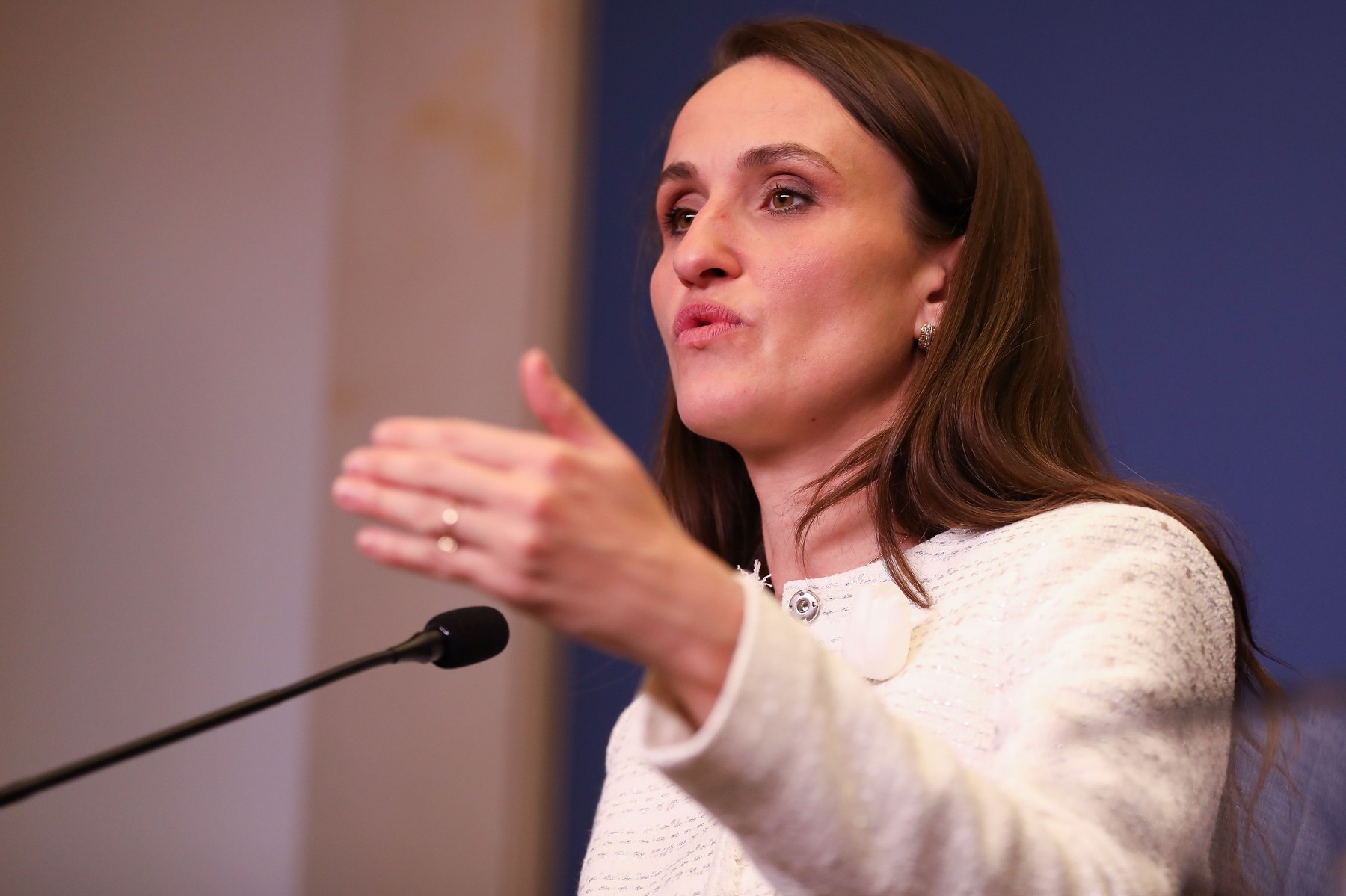 Oana Țoiu a prezentat prioritățile României în fața ambasadorilor UE la București