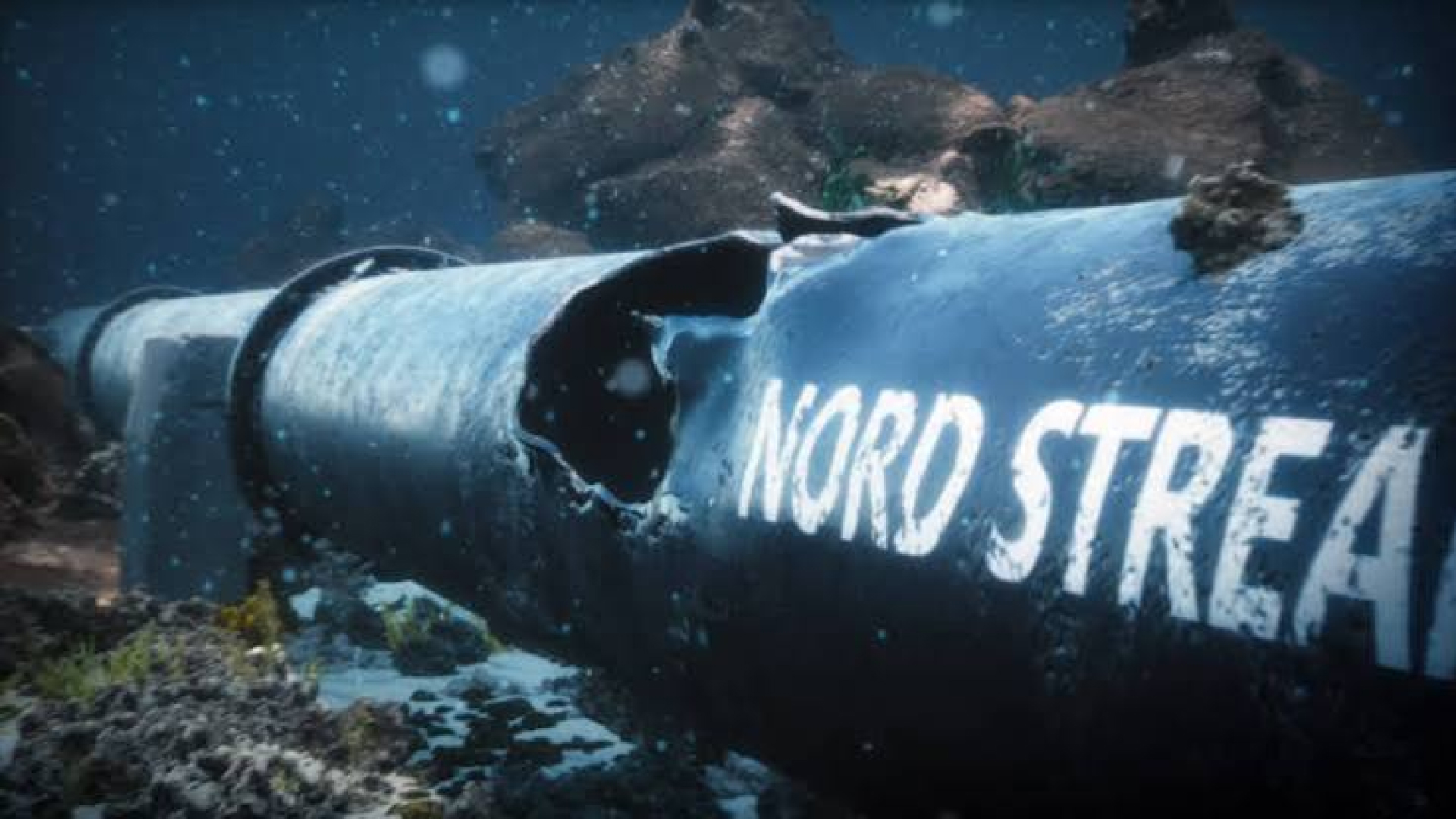 Rusia propune Germaniei redeschiderea gazoductului Nord Stream, în urma solicitării partidului AfD