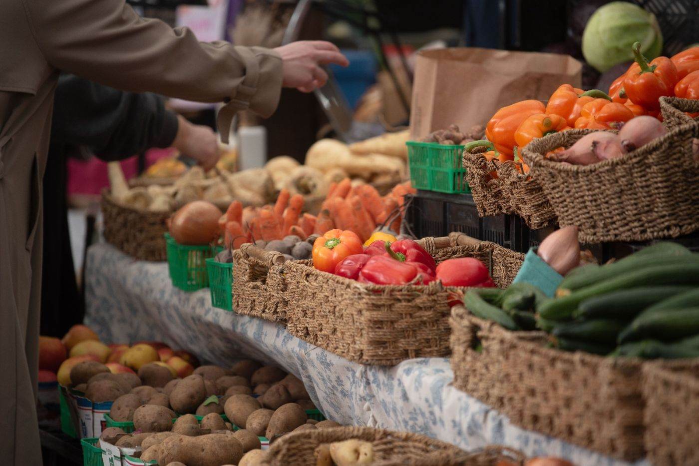 Excedentul comercial al Uniunii Europene în sectorul agroalimentar a crescut semnificativ în 2026