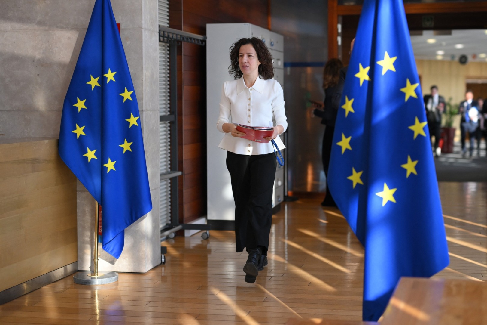 Roxana Mînzatu cere consolidarea negocierii colective în România și protecția salariaților