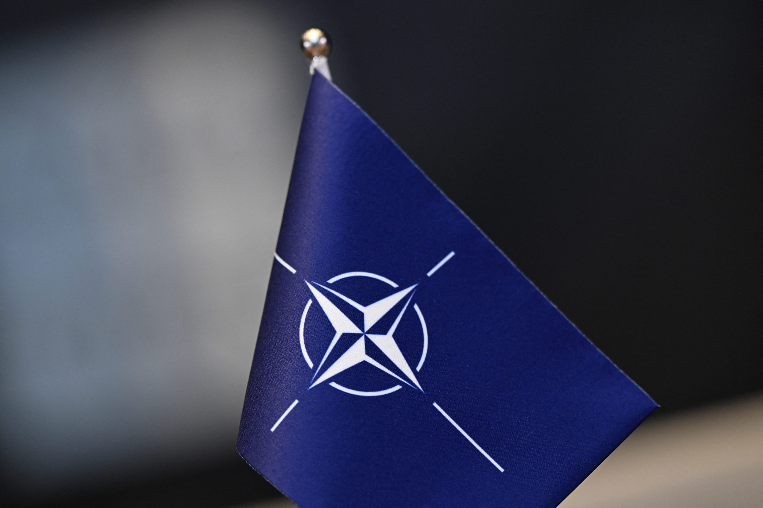 Cehia limitează numărul de militari trimiși pe flancul estic al NATO la 1.600 de persoane