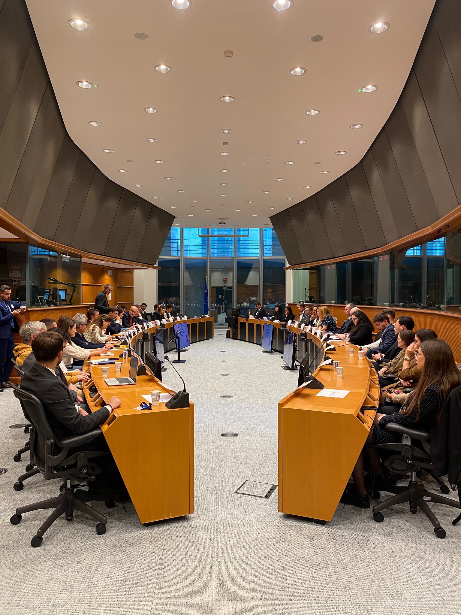 Dialog la Parlamentul European despre securitatea Mării Negre și rolul industriei de apărare românești