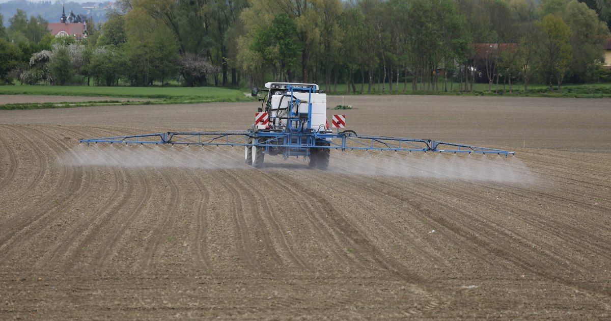 Reforma PAC între 2028 și 2034: Riscuri majore pentru agricultura din România