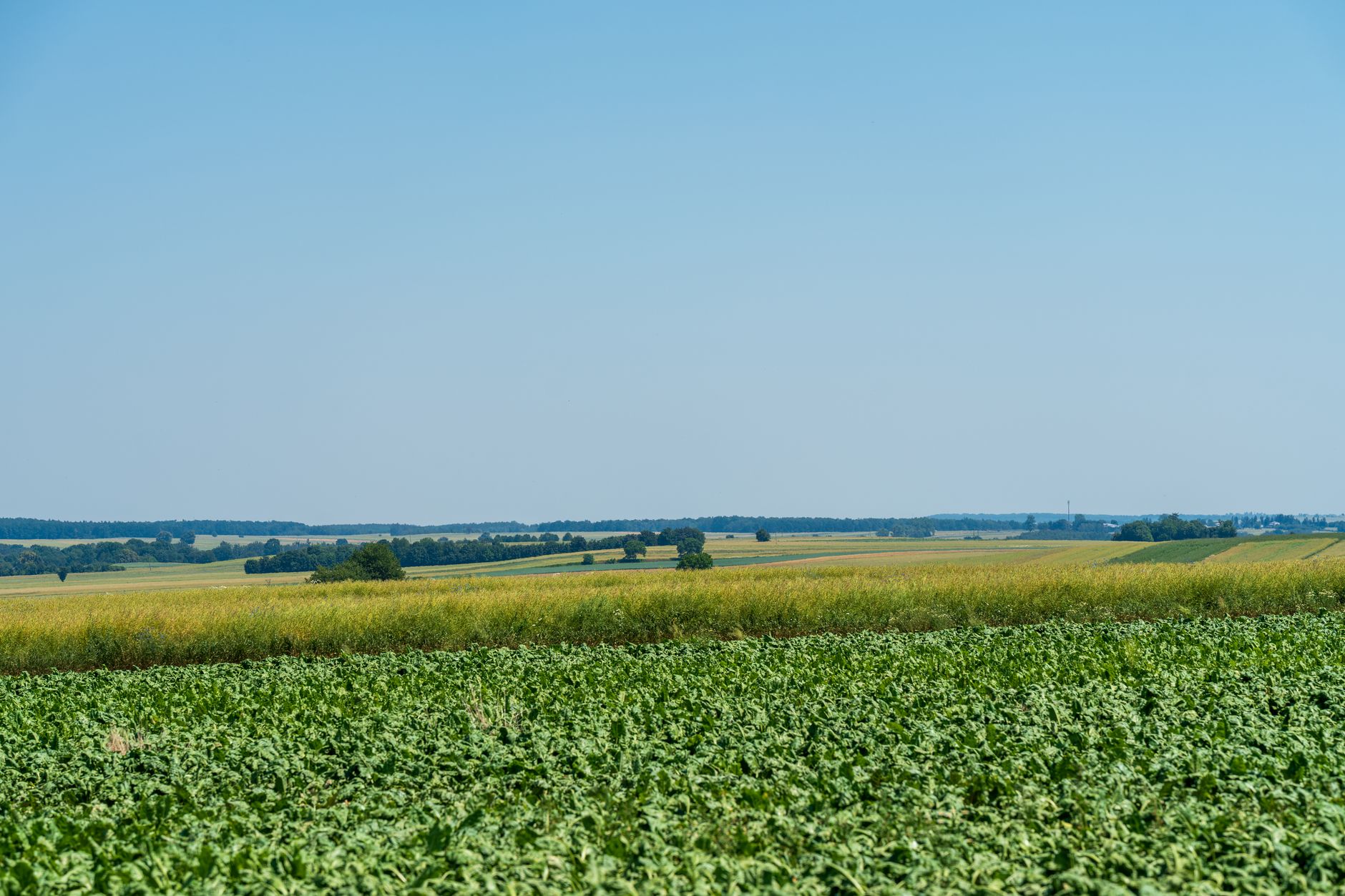 România și Italia coordonează un grup de 17 state pentru protejarea fondurilor europene pentru agricultură și coeziune