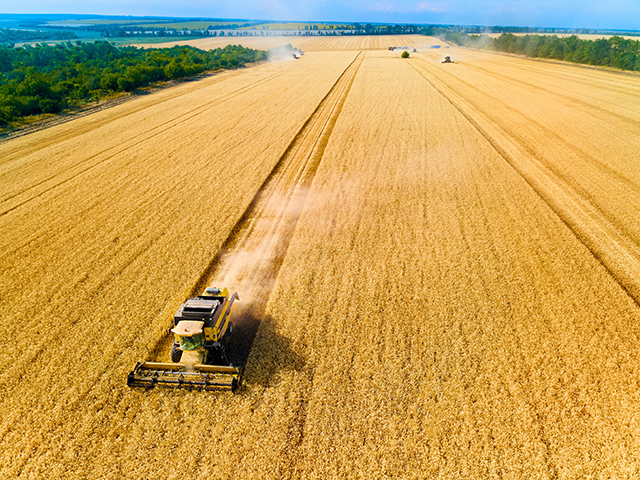 Tensiuni în UE: România și Polonia refuză extinderea capacității de transport pentru cerealele din Ucraina