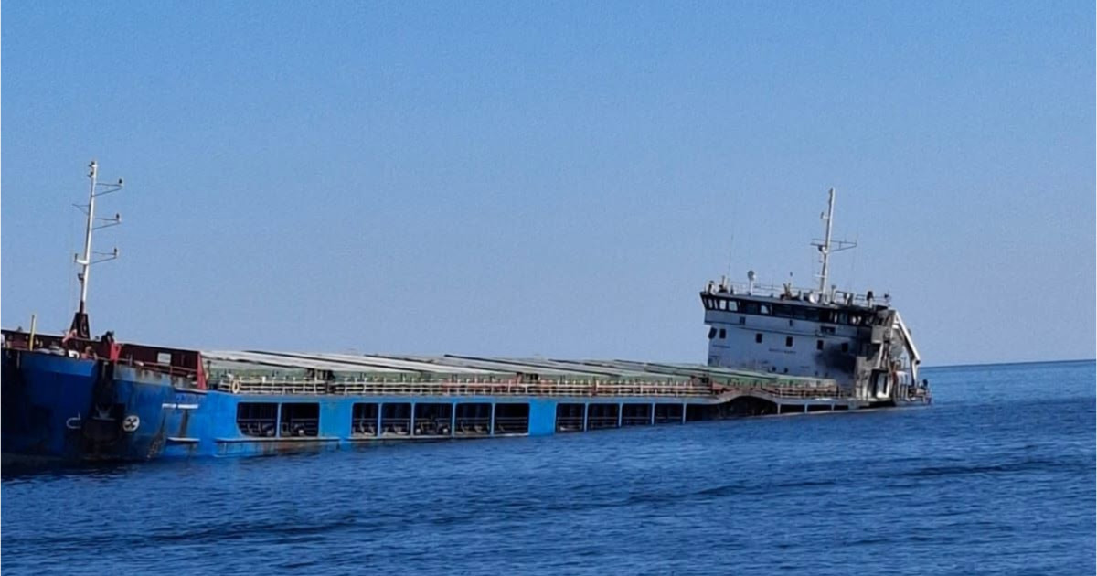 Două nave comerciale au fost atacate cu drone în zona economică a Bulgariei, în Marea Neagră