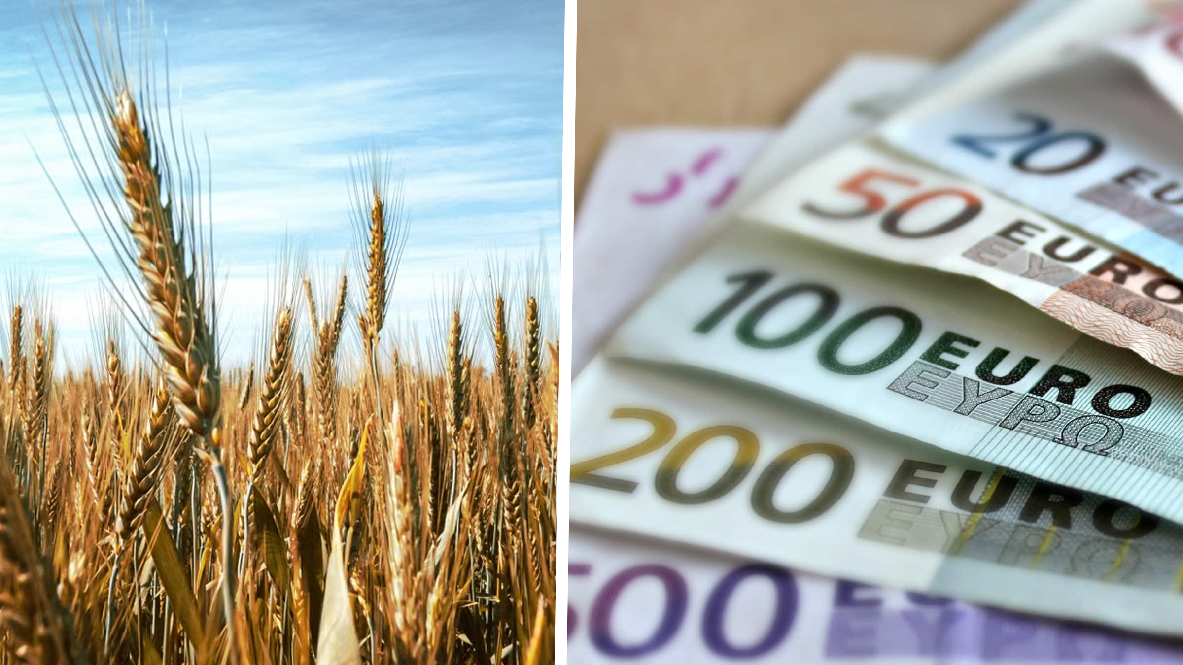Lansarea noii linii de finanțare DR-12 pentru tineri fermieri: primele cereri depuse la AFIR