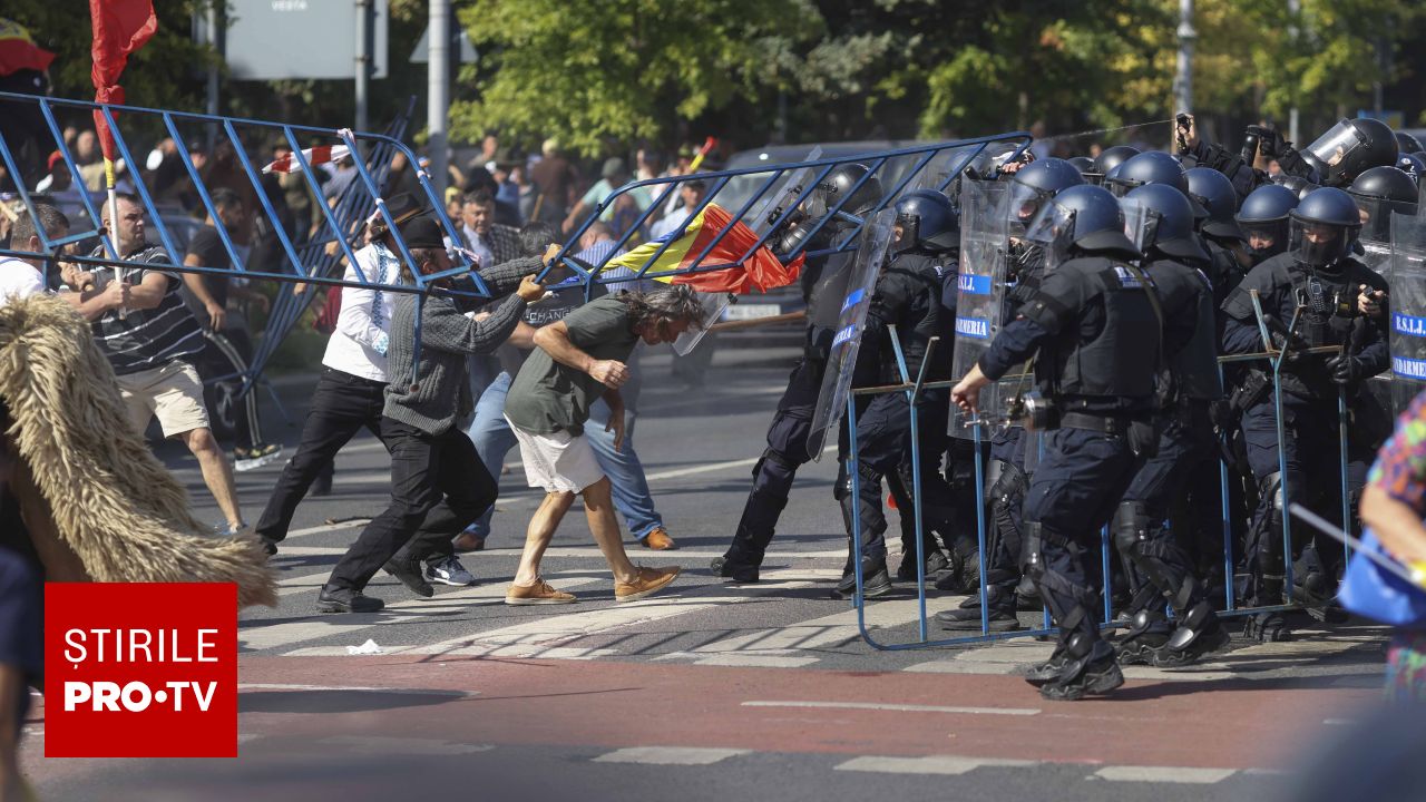Guvernul răspunde la protestul fermierilor: măsuri pentru exporturile de ovine și controlul pajiștilor
