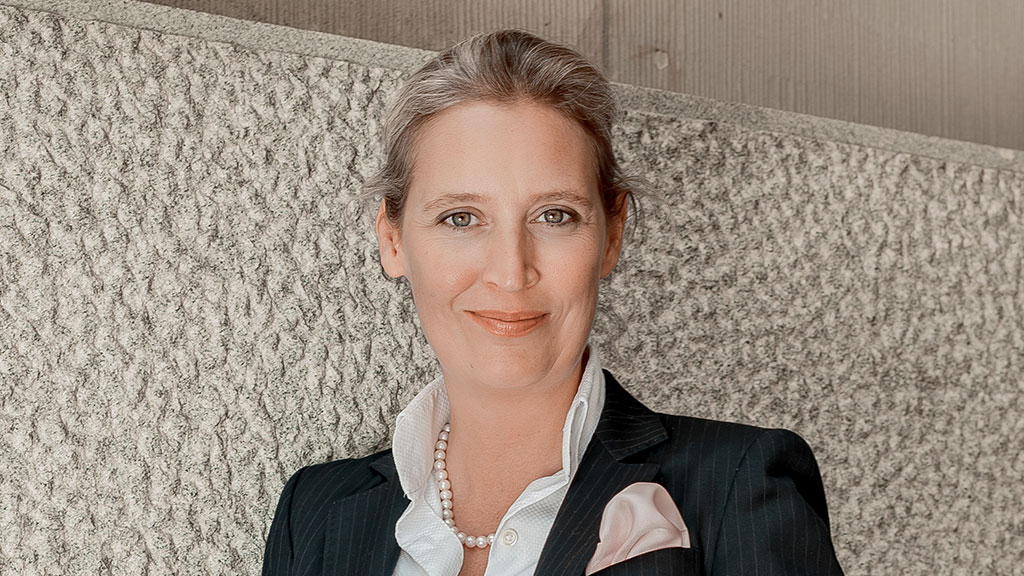 Strategia AfD de a ajunge la guvernare: partidul german tinde spre o abordare mai centristă