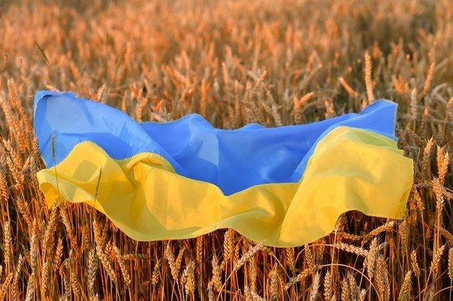 Criza agricolă din Ucraina: Blocajul exporturilor din Marea Neagră amenință securitatea alimentară globală