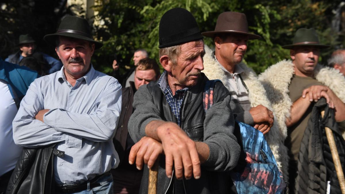 Exporturile de animale vaccinate vor fi deblocate în maximum o lună, anunță Daniel Buda
