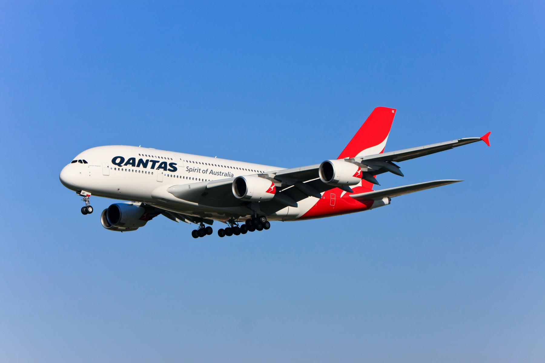 Zbor Qantas anulat după ce au fost descoperite ploșnițe la bordul unei aeronave
