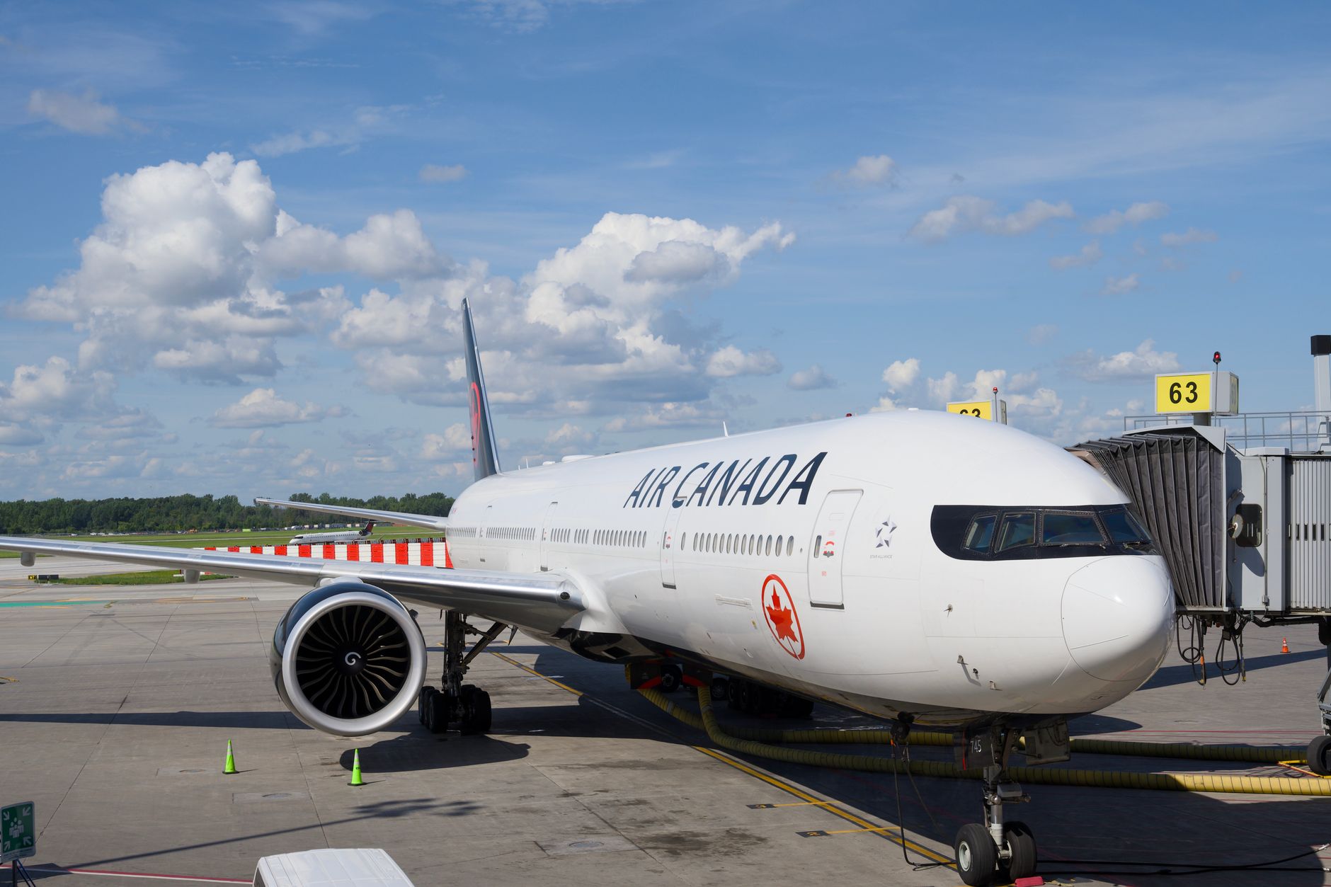 Zbor Qantas anulat la Roma după ce ploșnițele au infestat un avion destinat rutei spre Australia