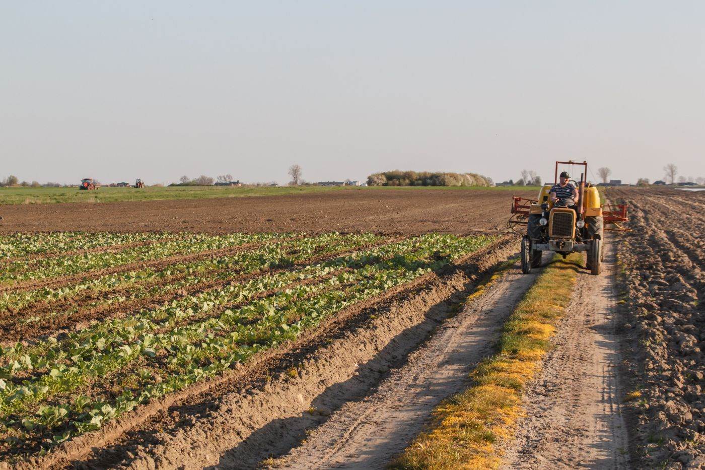 Franța, Polonia și Spania susțin procesul de aderare a Ucrainei la UE, în ciuda preocupărilor agricole